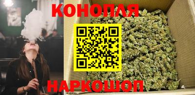 крисы Брянск