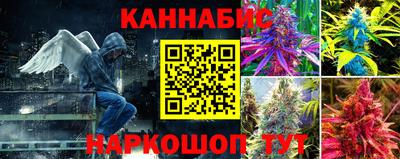 крисы Брянск