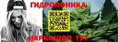 тгк Боровичи
