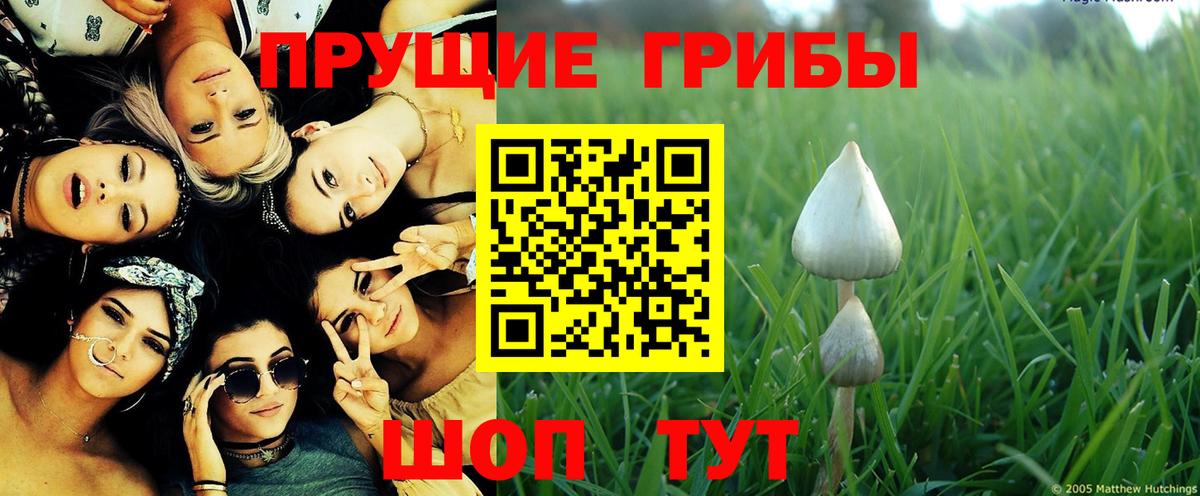 Железноводск  Галлюциногенные грибы Magic Shrooms  Вход с VPN 