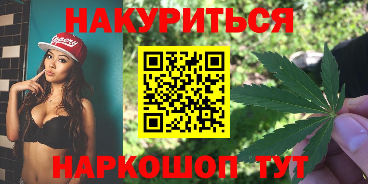 Бошки марихуана планчик  Вход с VPN  Железноводск  Канабис план  Каннабис SATIVA & INDICA  Канабис сатива 